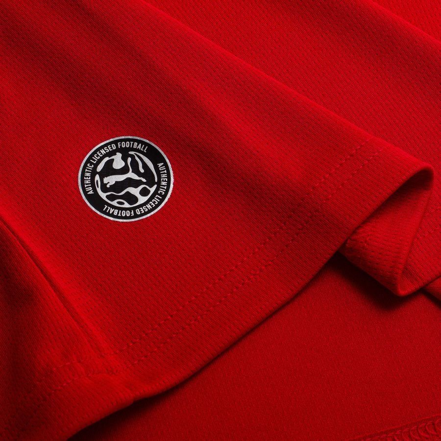 Maroc Maillot Domicile Coupe du Monde 2026